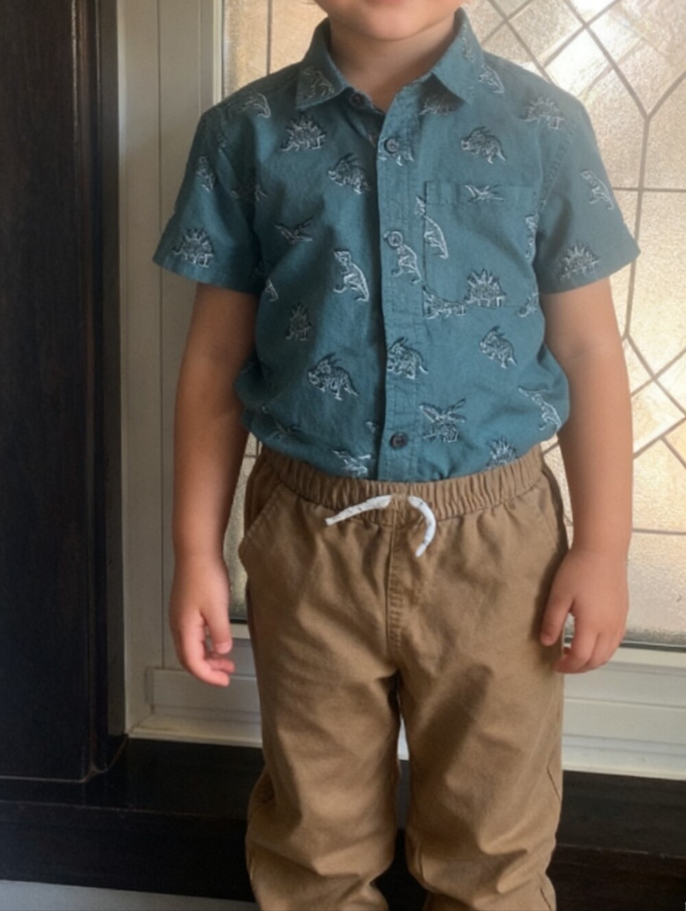 Free Planet Kids Teal Dino Shirt and Brown Jogger Set